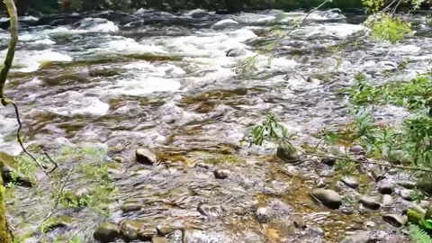 Great flowing river Stock Footage 152741693