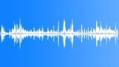 Great Frigate Bird Calls Sound Effect