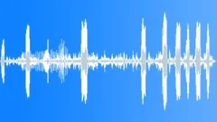 Great Frigate Bird CU Sound Effect