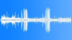 Great Frigate Bird Display Sound Effect