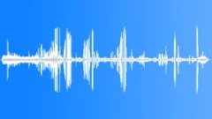 Great Frigate Bird Display Sound Effect