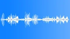 Great Frigate Bird MCU Sound Effect