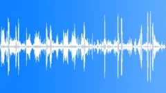 Great Frigate Bird MCU Sound Effect