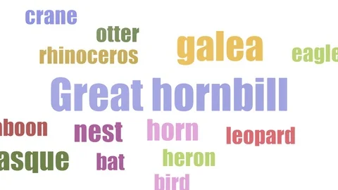 Great Hornbill Word Cloud Animated Isolated On White Stock Footage 103669887