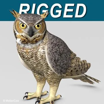 Great Horned Owl  Folded Wings 3D Model