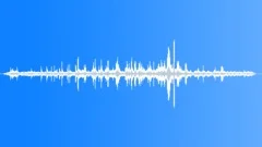 Great Indian Hornbill BG Sound Effect