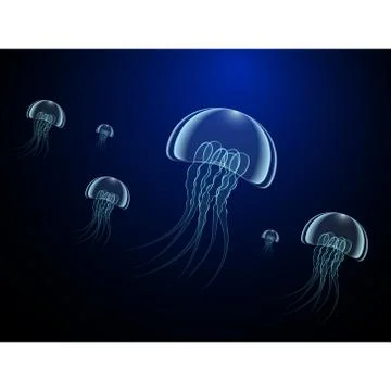 Great jellyfishes float to the light Stock Illustration