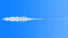 Great kiskadee 04Sound Effect