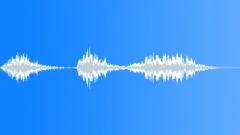 Great Kiskadee bird 01Sound Effect