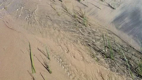 Great Lakes Beach Stock Footage 190770909