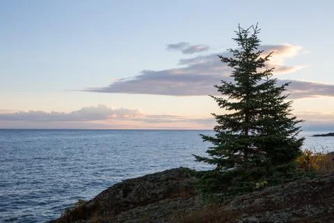Great Lakes Shoreline in Dawn Light Foto stock
