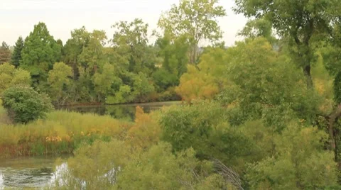 Great Lakes wetlands Stock Footage 8778376