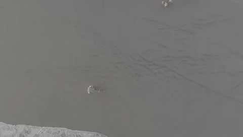 A great merapi mountain from aerial shoot Stock Footage 275496666