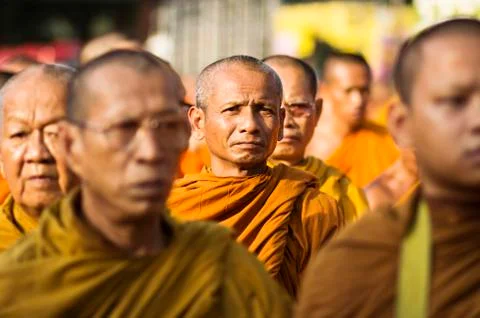 Great merit. Stock Photos