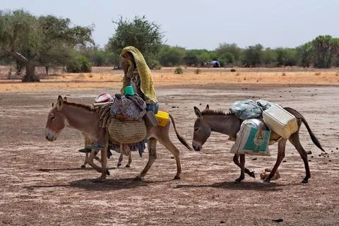 The Great Migration of the Tribe Stock Photos