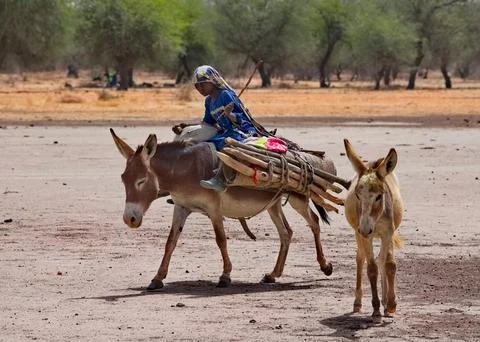 The Great Migration of the Tribe Stock Photos