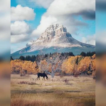 Great mountain Stock Illustration