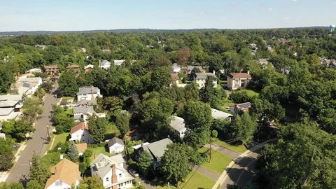 Great Neck Homes beneath Dense Summer Tree Canopy Vidéo 95761595