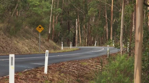Great Ocean Road. 4K Stockbeeldmateriaal 50952808