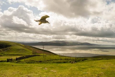 Great Orme, Wales. Stock Photos