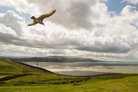 Great Orme, Wales. Stock Photos