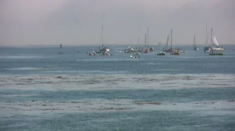 Great Pacific Race Start Stock Footage 39417056