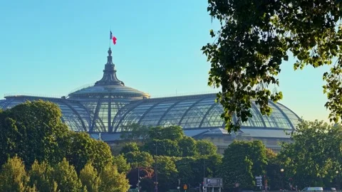 Great Palace of the Champs-Élysées in distant view Stock Footage 335962940