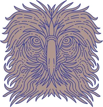 Great Philippine Eagle Head Mono Line Stock Illustration