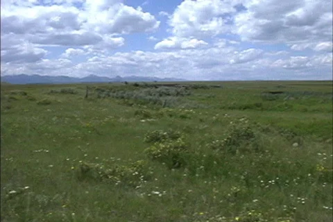 Great Plains MT Stock Footage 464850
