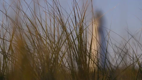 Great Point Lighthouse Through Grass, Nantucket Stock Footage 87994705