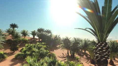 Great point of view on Sahara desert at sundown 3d rendering Stock Illustration