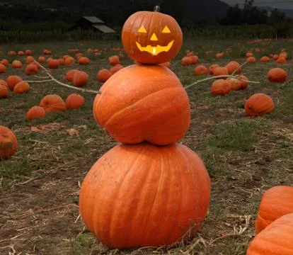 Great pumpkin Фото