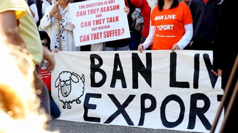 Great Quality Scenes of Live Export Ban Demo Stock-Footage 34696624
