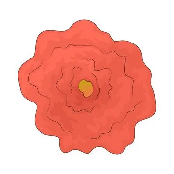 Great Red Spot illustration Stock Illustration