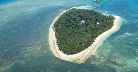 The great reef from the high Foto stock
