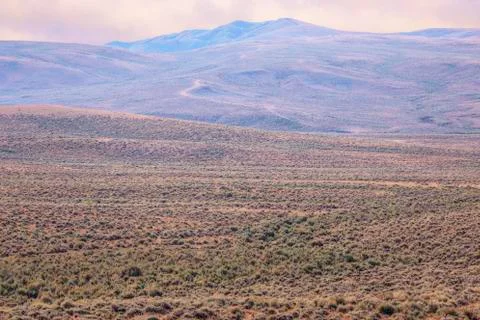 Great Sagebrush Plain Stock Photos