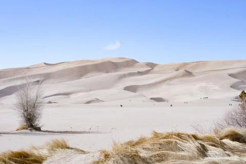  The Great Sand Dunes Stock Photos