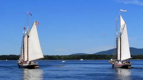 Great Schooner Race Stock Footage 172538050