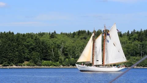 Great Schooner Race Stock Footage 172538110