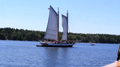 Great Schooner Race Stock Footage 172538111