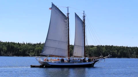 Great Schooner Race Stock Footage 172538140