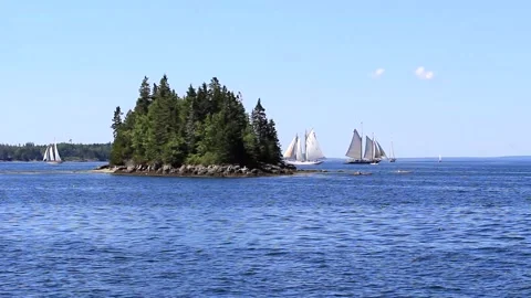Great Schooner Race Stock Footage 172538141