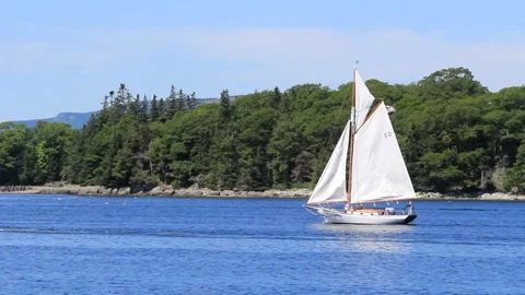 Great Schooner Race Stock Footage 172538215