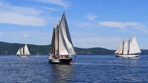 Great Schooner Race Stock Footage 172538340