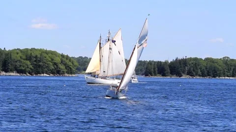 Great Schooner Race Stock Footage 172538341