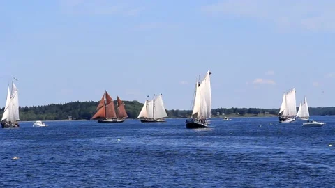 Great Schooner Race Stock Footage 172538374