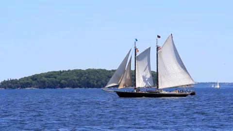 Great Schooner Race Stock Footage 172538443