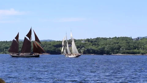 Great Schooner Race Stock Footage 172538476