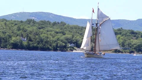 Great Schooner Race Stock Footage 172538511