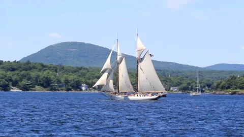 Great Schooner Race Stock Footage 172538520